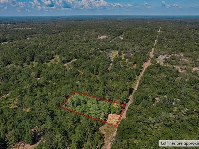 Land for sale in Bronson