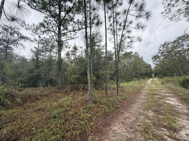 Land for sale in Bronson