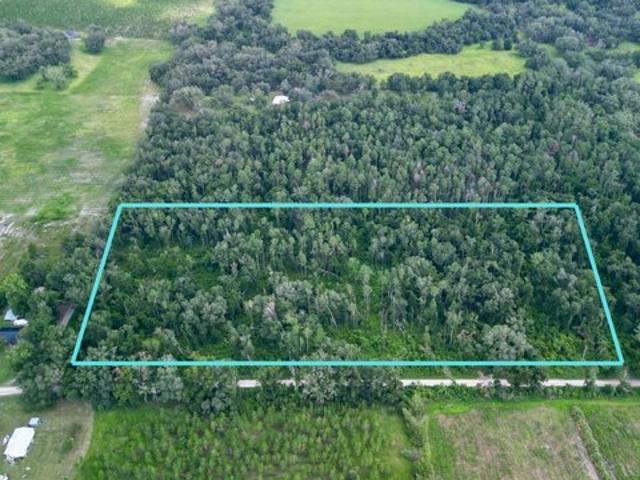 Land for sale in Mayo, Florida