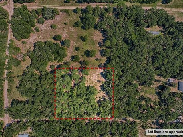 Land for sale in Bronson Land for sale in Bronson