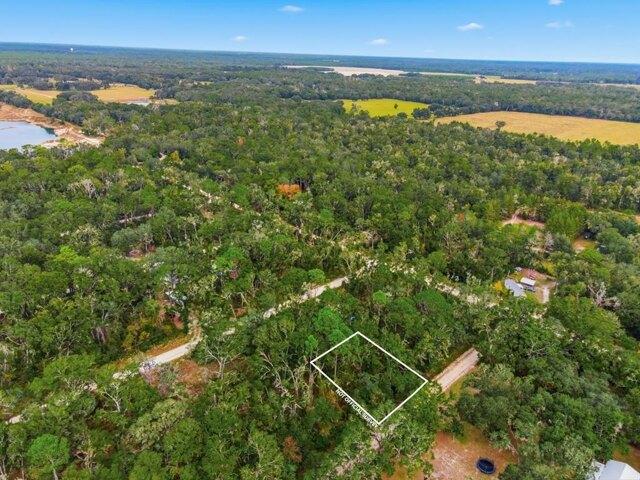 Land for sale in Old Town, Florida