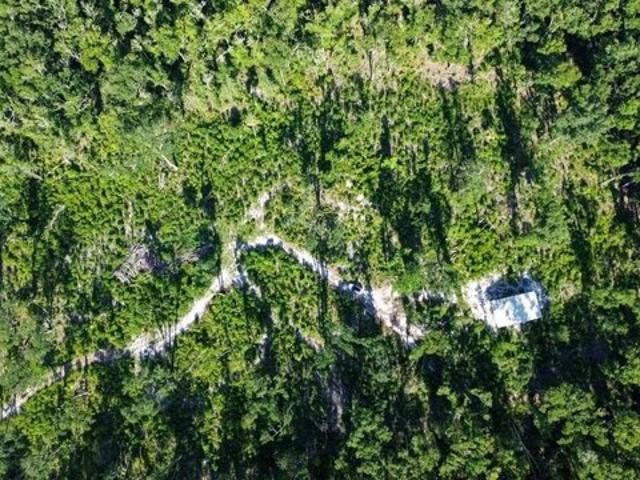 Land for sale in Old Town, Florida