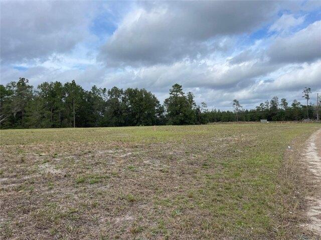 Land for sale in Bronson