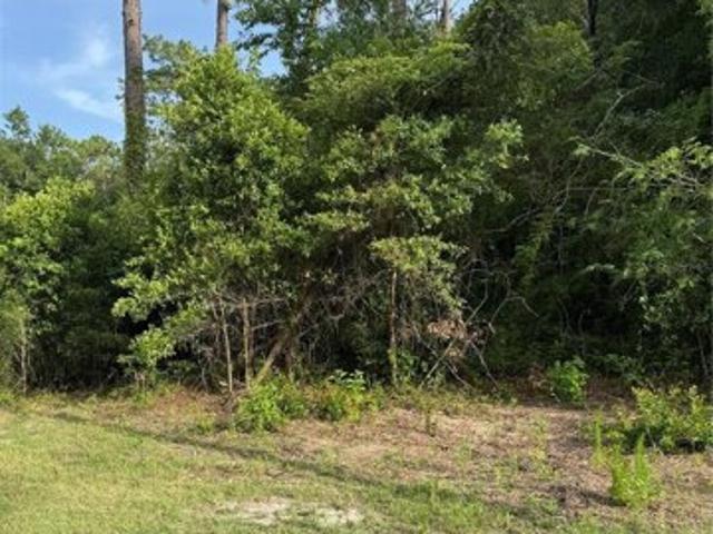 Land for sale in Bronson