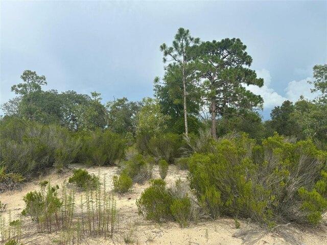 Land for sale in Bronson