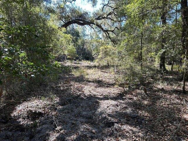 Land for sale in Bronson