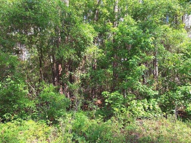 Land for sale in Old Town, Florida