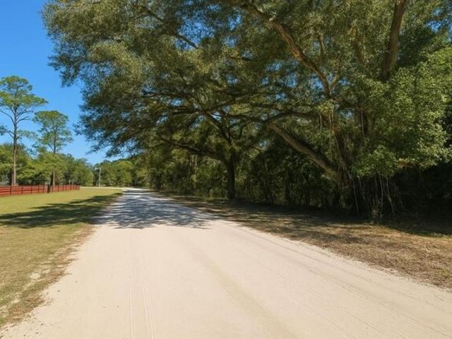 Land for sale in Old Town, Florida