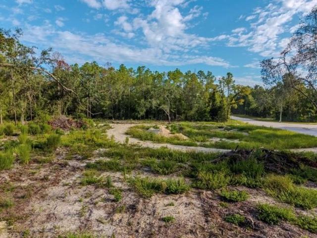 Land for sale in Old Town, Florida