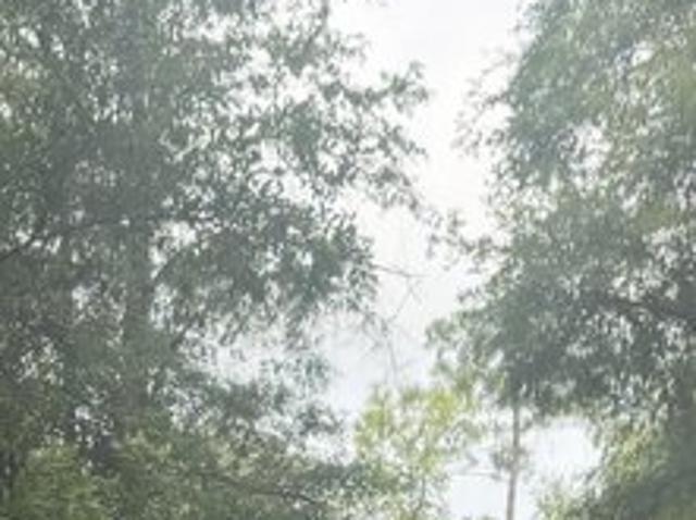 Land for sale in Hosford, Florida
