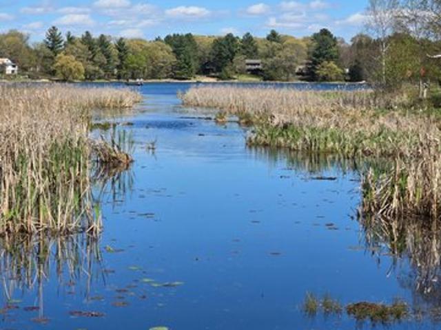 Land for sale in Stacy, Minnesota