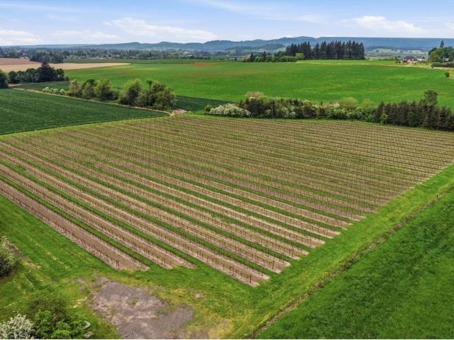 Land for sale in Oregonia