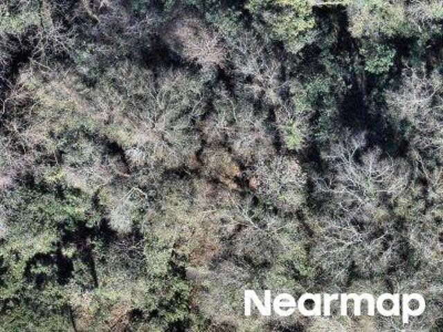 Property for sale in Macon, Georgia