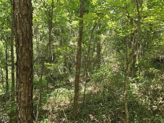 Land for sale in Mississippi