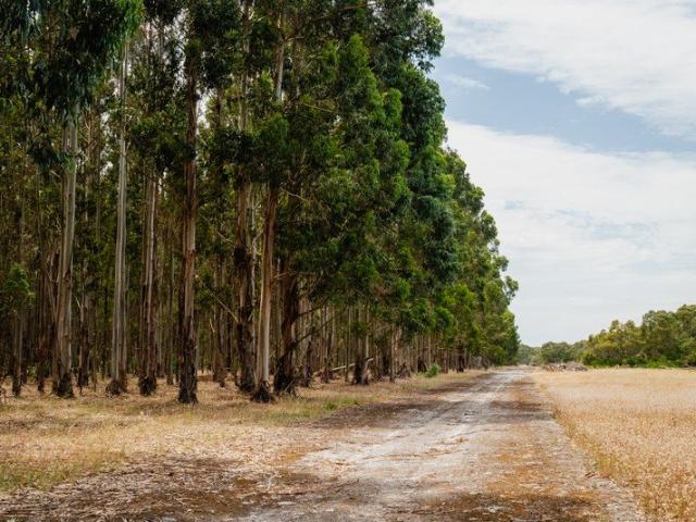 Cottage for sale in Coles, Naracoorte Lucindale Council