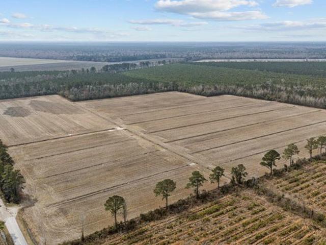 Farm for sale in Bayboro, North Carolina