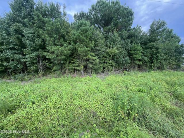 Property for sale in Chadbourn, North Carolina