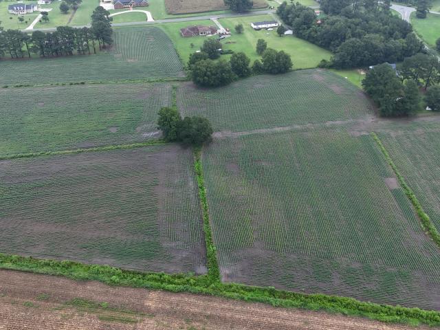 Land for sale in Rose Hill, North Carolina
