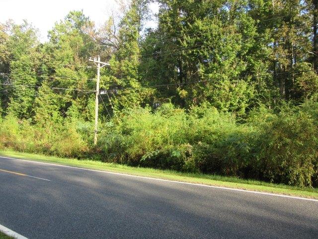 Land for sale in Whiteville, Columbus County