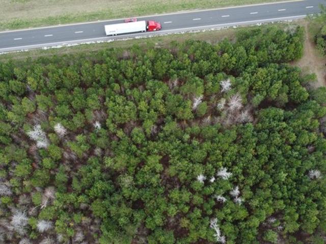 Land for sale in Bolton, North Carolina