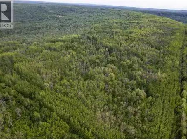 House for sale in Tomslake, British Columbia
