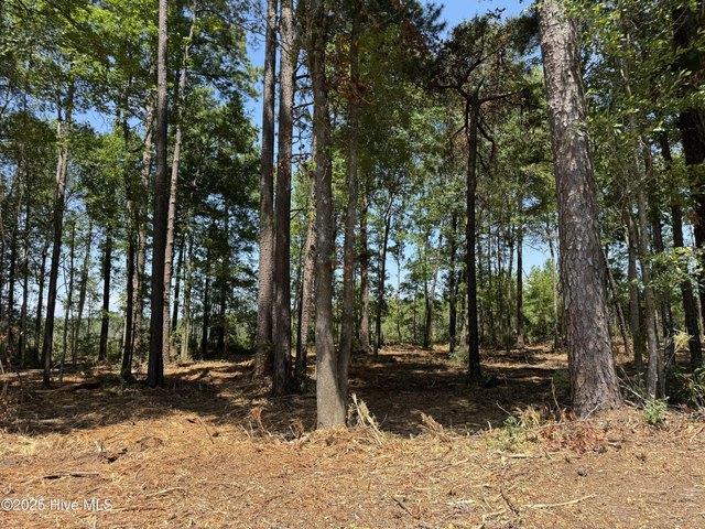 Land for sale in Clarendon, North Carolina