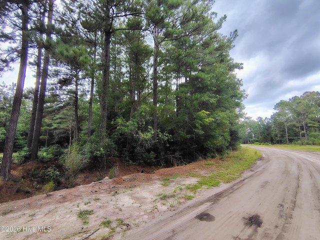 Land for sale in Clarendon, North Carolina