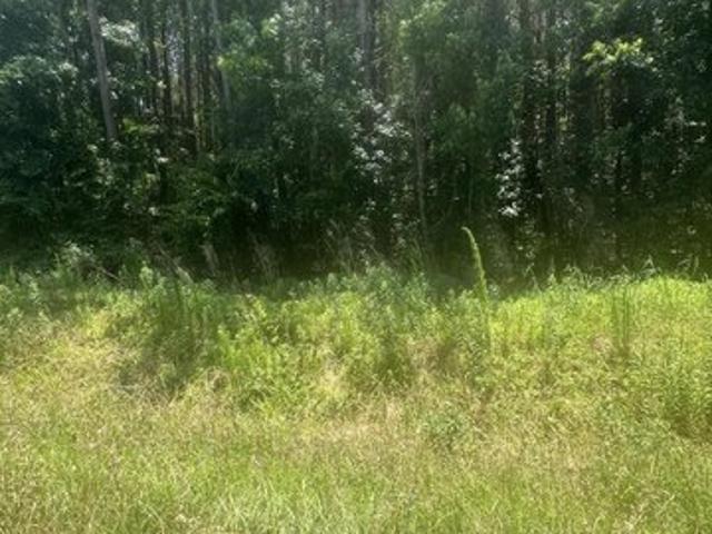Land for sale in Chadbourn, North Carolina