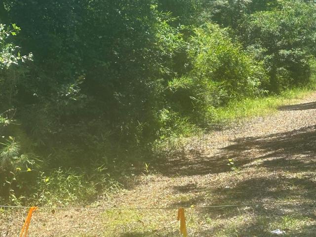 Land for sale in Chadbourn, North Carolina