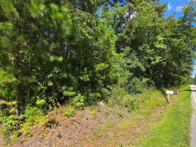 Land for sale in Whiteville, Columbus County