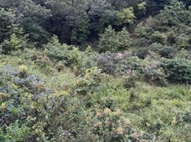Land for sale in Muskogee, Oklahoma