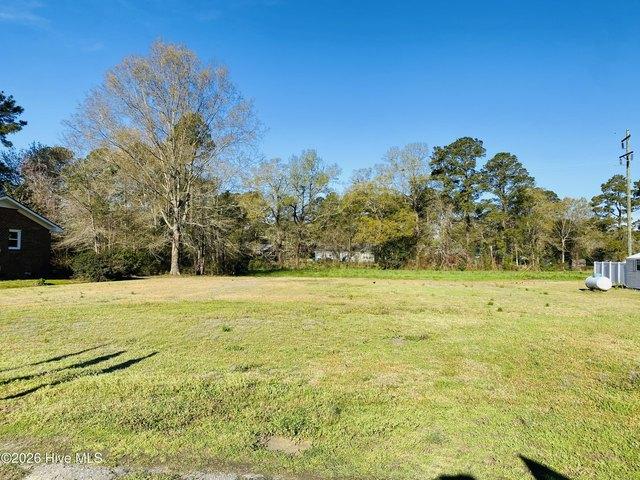 Land for sale in Clarkton, North Carolina