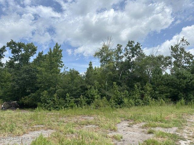 Land for sale in Clarendon, North Carolina
