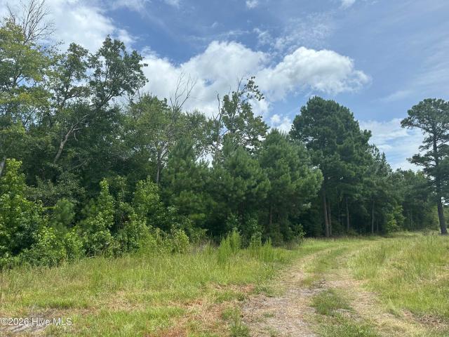 Land for sale in Clarendon, North Carolina