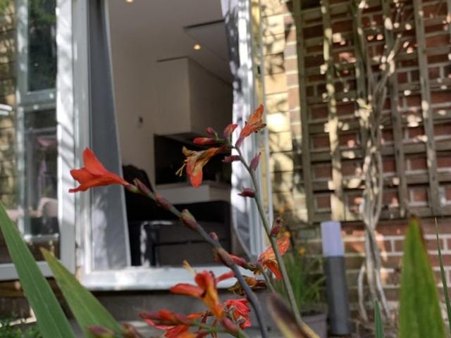 Apartment for rent in Springbourne, Bournemouth