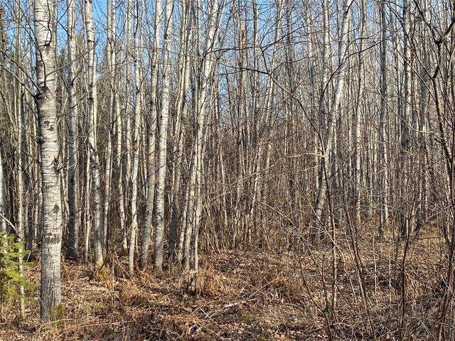 Land for sale in Lake Nebagamon, Wisconsin