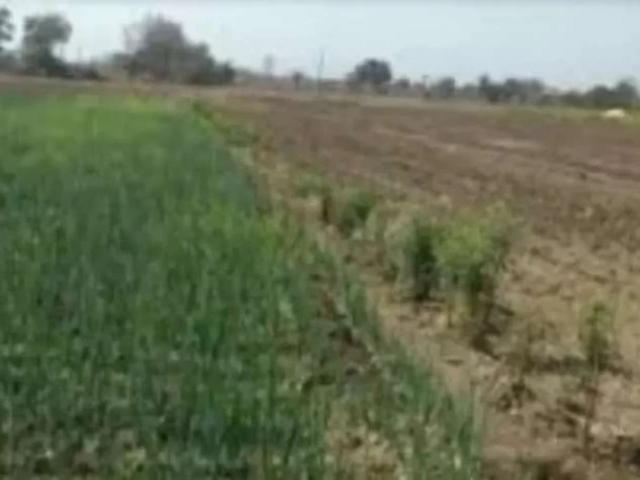 Land for sale in Gujrat, Islamabad Capital Territory