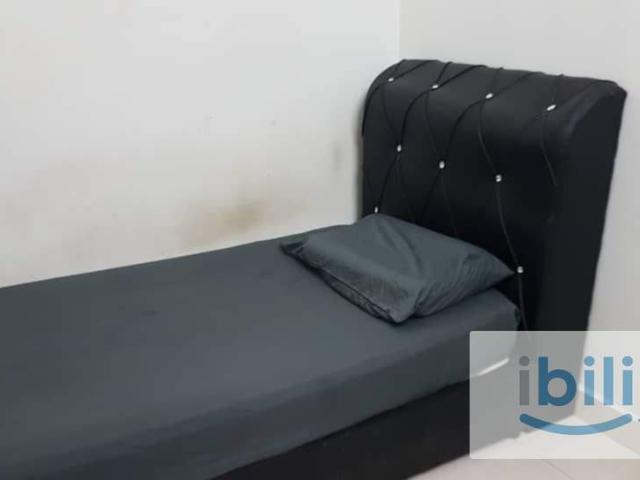 Room for rent in Petaling, Damansara Damai