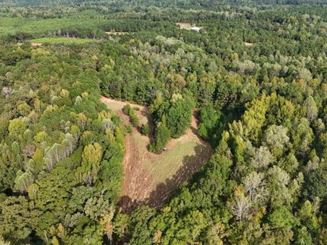 Land for sale in Greenville, Alabama