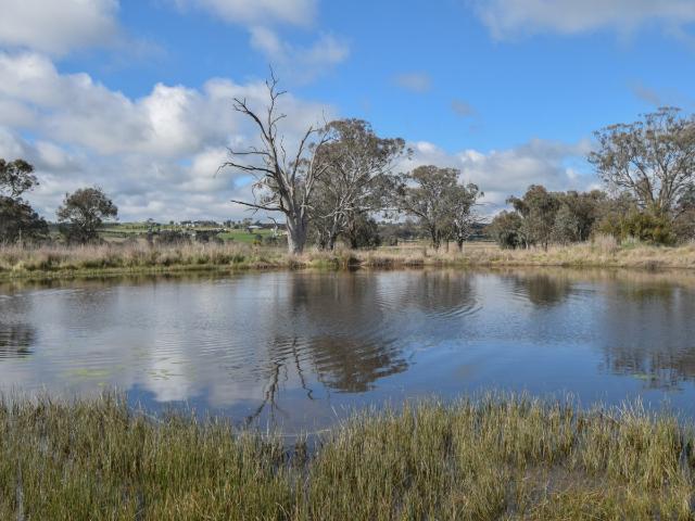 House for sale in Maimuru, New South Wales
