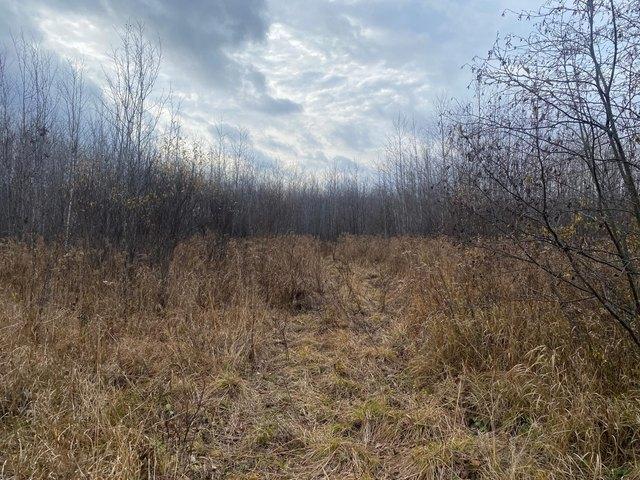 Land for sale in Catawba, Wisconsin