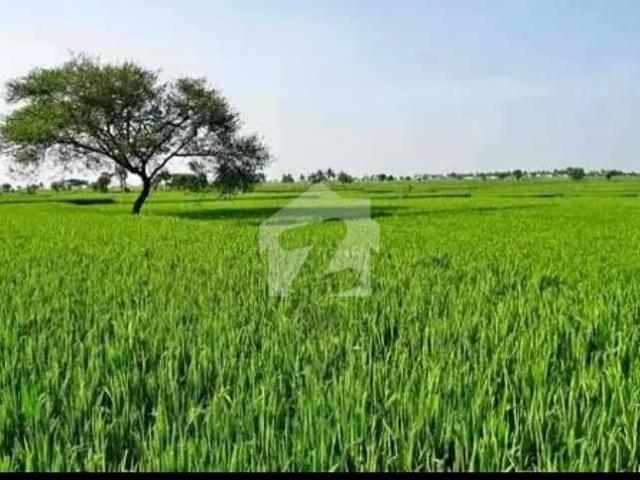 Land for sale in Rawalpindi, Islamabad Capital Territory
