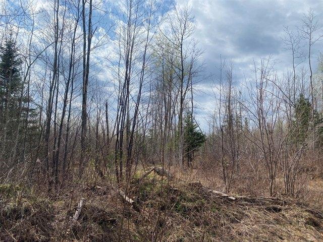 Land for sale in Phillips, Wisconsin