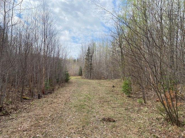 Land for sale in Phillips, Wisconsin