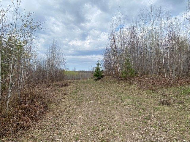 Land for sale in Phillips, Wisconsin