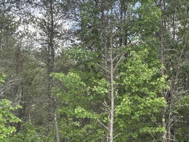 Land for sale in Crandon, Wisconsin