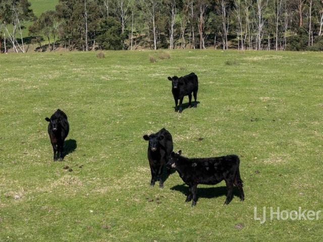 Cottage for sale in Mount Barker, South Australia