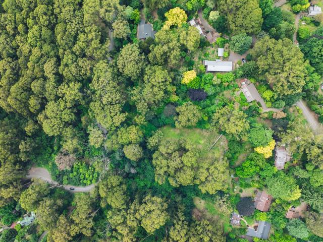 Property for sale in Camerons Creek, Victoria