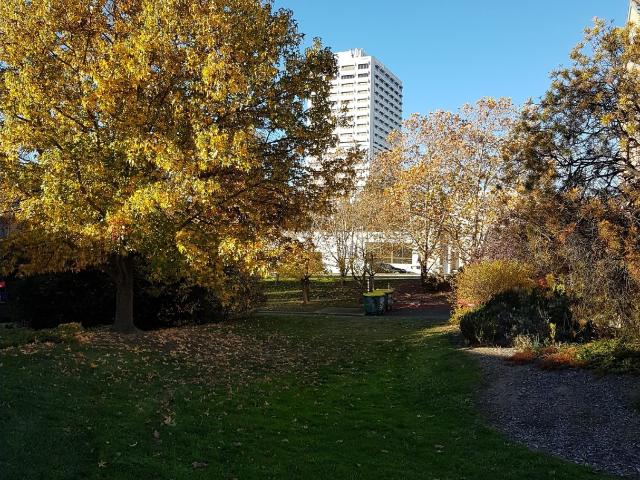 Property for rent in Woden, Australian Capital Territory