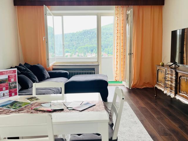 Apartment mieten in Bad Herrenalb, Baden-Württemberg